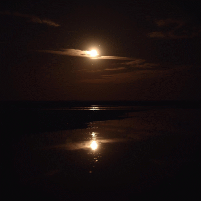 Night Gratitude Session – Thank You for Today